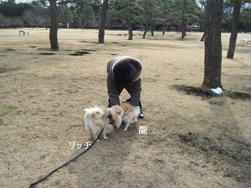 DSCF3569.jpg
