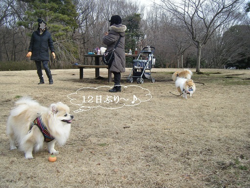 DSCF3571.jpg