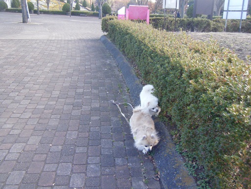DSCF3596.jpg