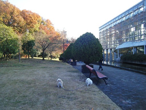 DSCF3601.jpg