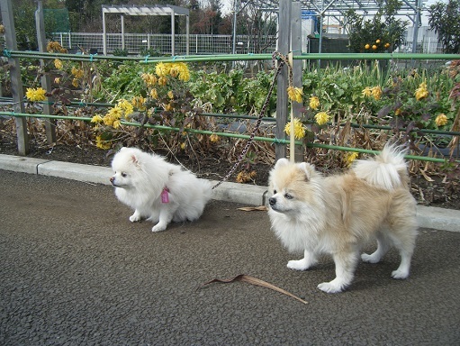 DSCF3630.jpg