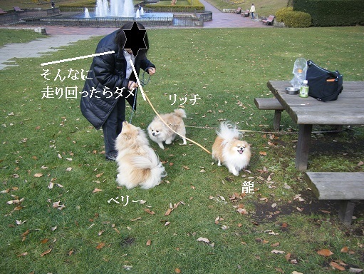 DSCF3645.jpg