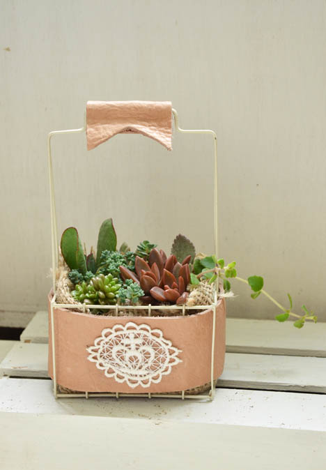 多肉寄せ植え