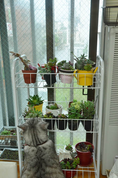 DSC_7205.jpg