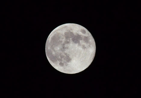 DSC_8574.jpg
