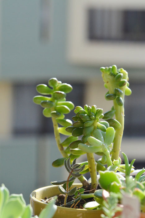 DSC_8883.jpg