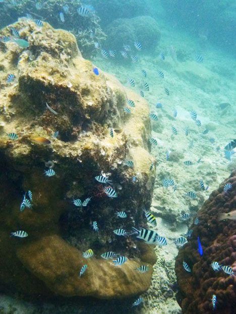 P1010314.jpg