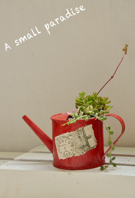 ペイント寄せ植え