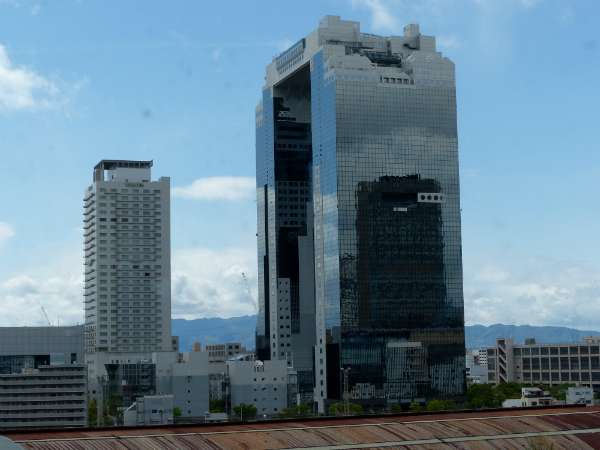 L1050411.jpg