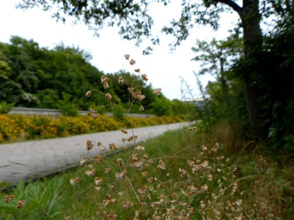 L1080992.jpg