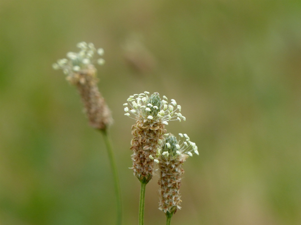 L1090023.jpg