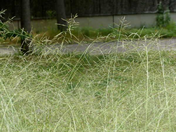 L1090084.jpg