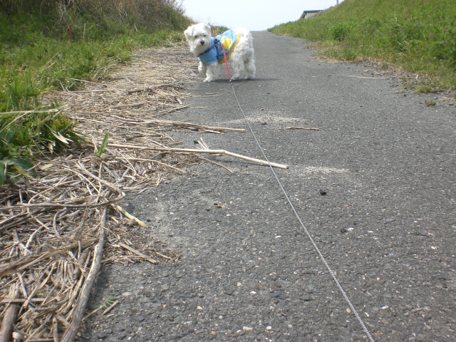 CIMG0756.jpg