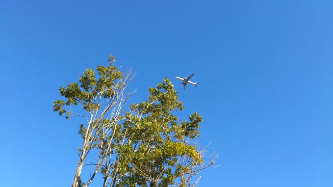 飛行機その3