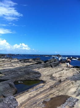 fc2blog_20120904152136dc3.jpg