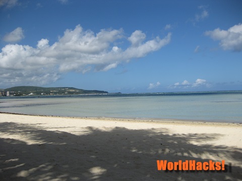 _IMG_1293n.jpg