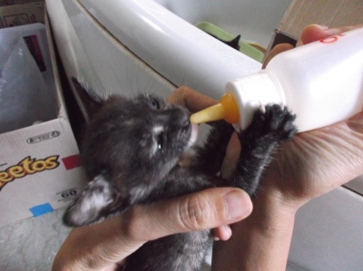 DSCF2690.jpg