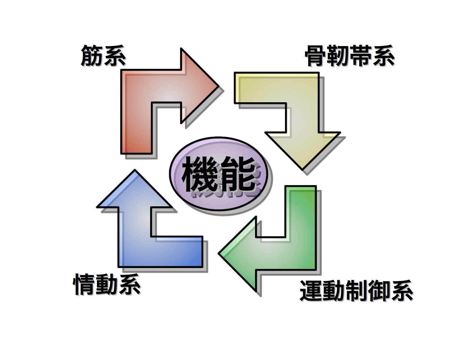 運動モデル
