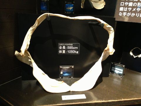 okinawa25.4 115
