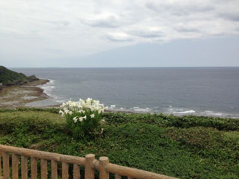 okinawa25.4 174
