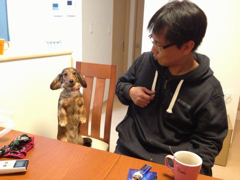 gacyadog 007