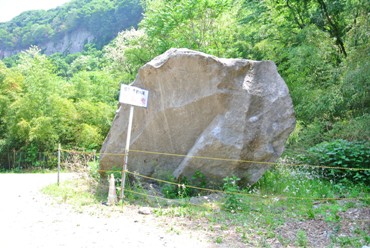 棚下1