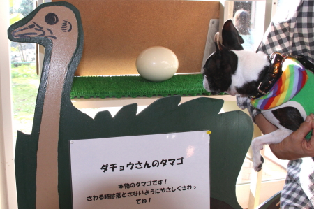 秋の伊豆高原 その3