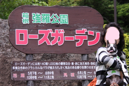 週末は、パンチと一緒に♪~♪