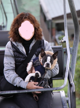 ももちゃんとの再会場所は伊豆高原