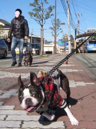 パンチとMARIの新年 初散歩