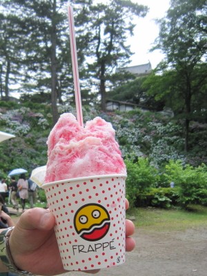 小田原城 あじさい・花菖蒲まつり