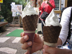 秋の伊豆高原 その1