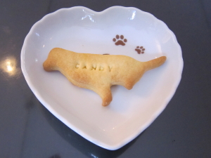 秋の伊豆高原 その4