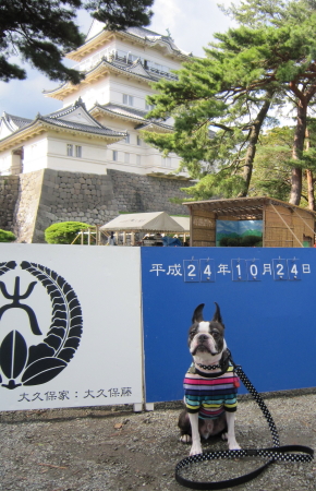 久しぶりに小田原城に行ったよ