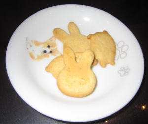 ももちゃんとの再会場所は伊豆高原