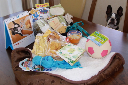 パンチ ♡ 6歳になりました