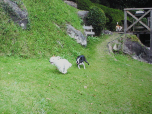 IMG_0631_1.JPG