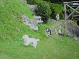 IMG_0629_1.JPG