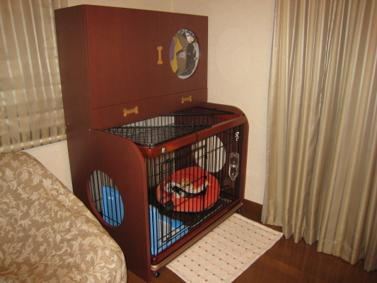 IMG_0770_1.JPG