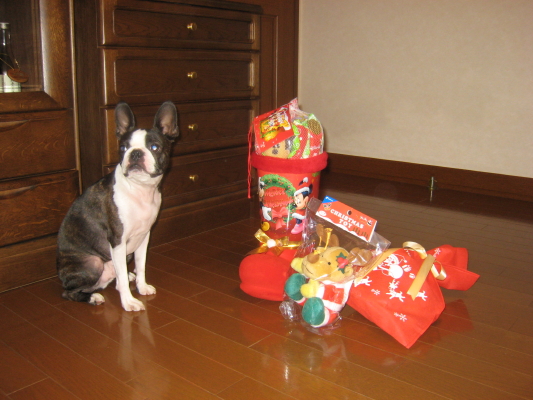 IMG_0793_1.JPG