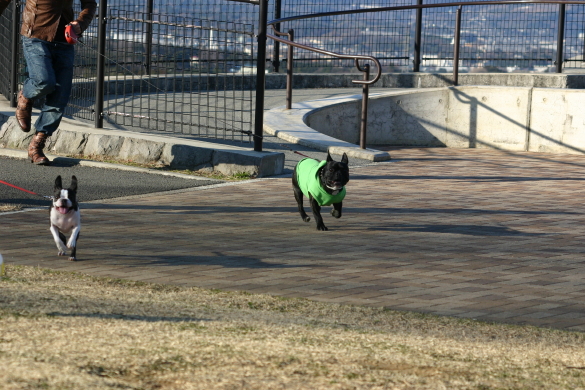 IMG_1165_1.JPG