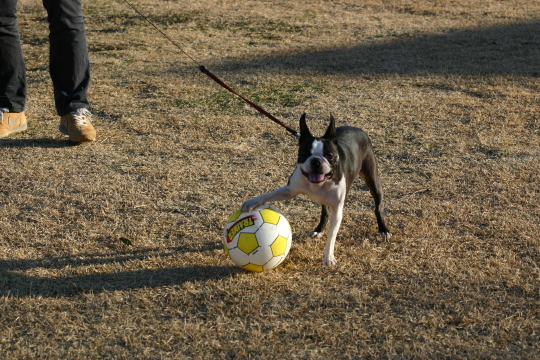 IMG_1225_1.JPG