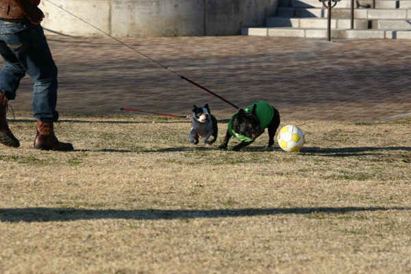 IMG_1181_1.JPG