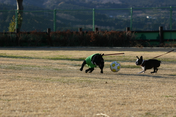 IMG_1174_1.JPG
