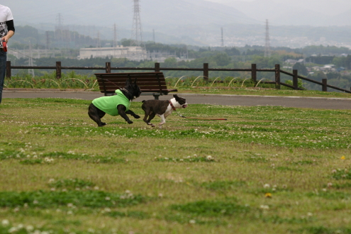 Marionと一緒 ☆彡