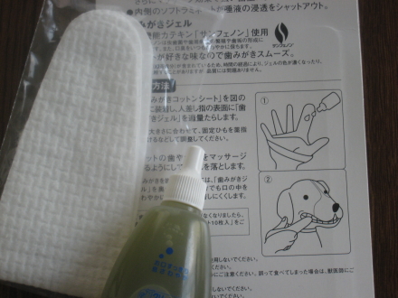 歯磨き