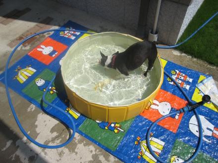 お庭で遊ぶ~♪