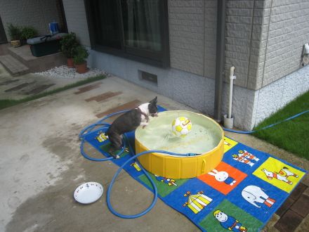 お庭で遊ぶ~♪