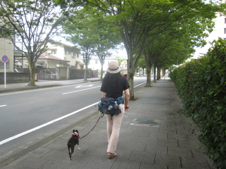 僕の散歩コース ♪~♪