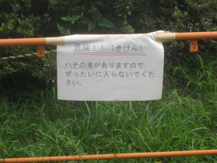 僕の散歩コース ♪~♪
